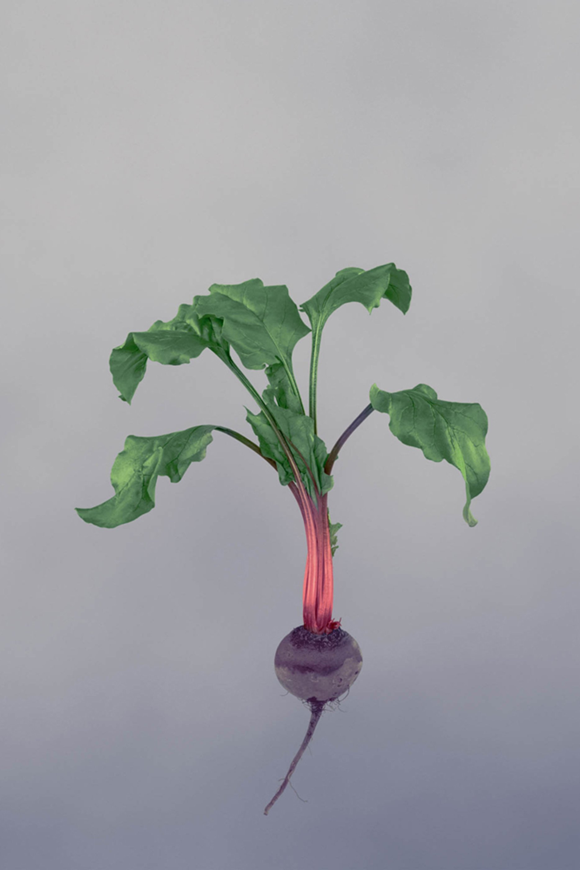 Beetroot Scented Candle