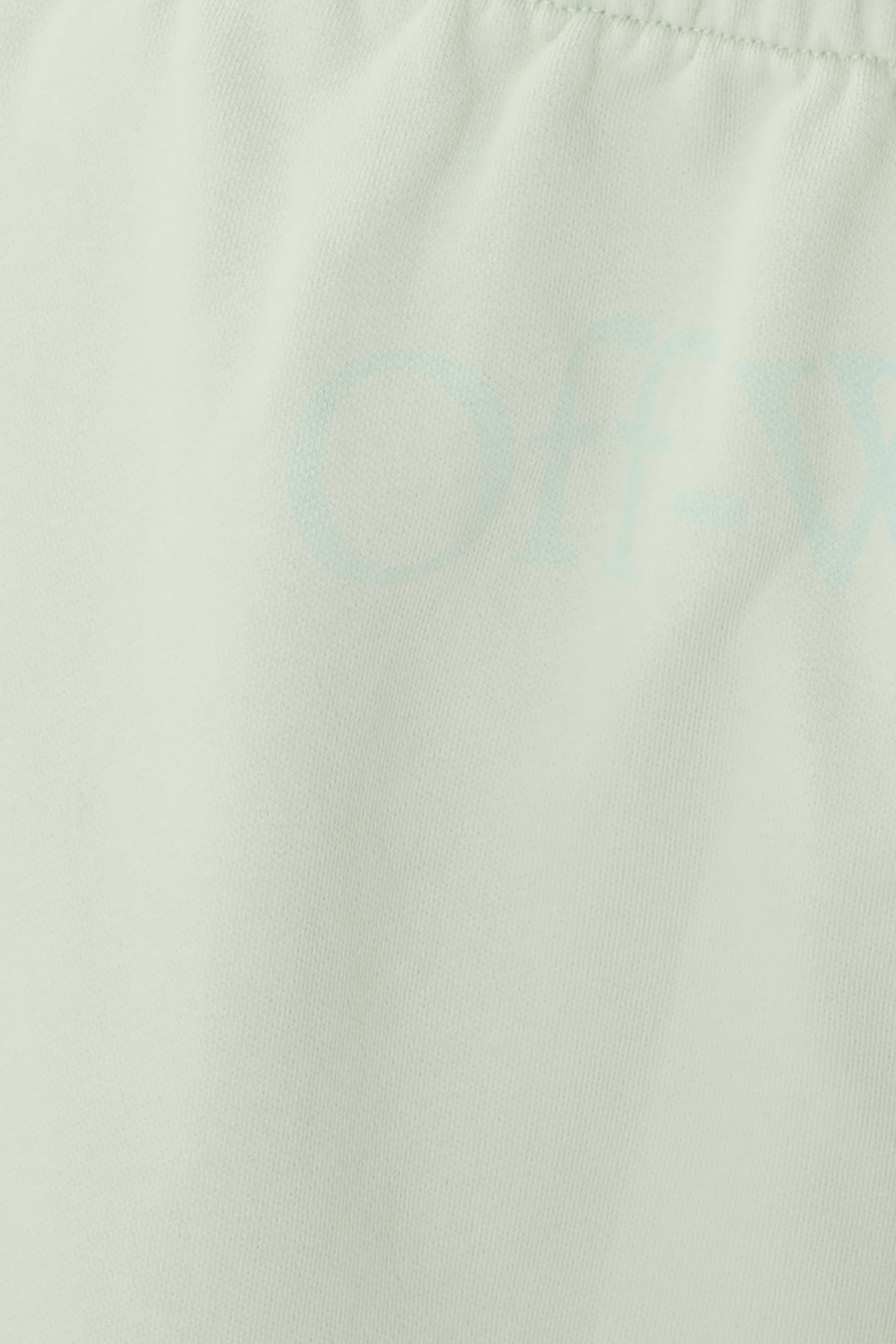 Big Bookish Skate Sweatshort