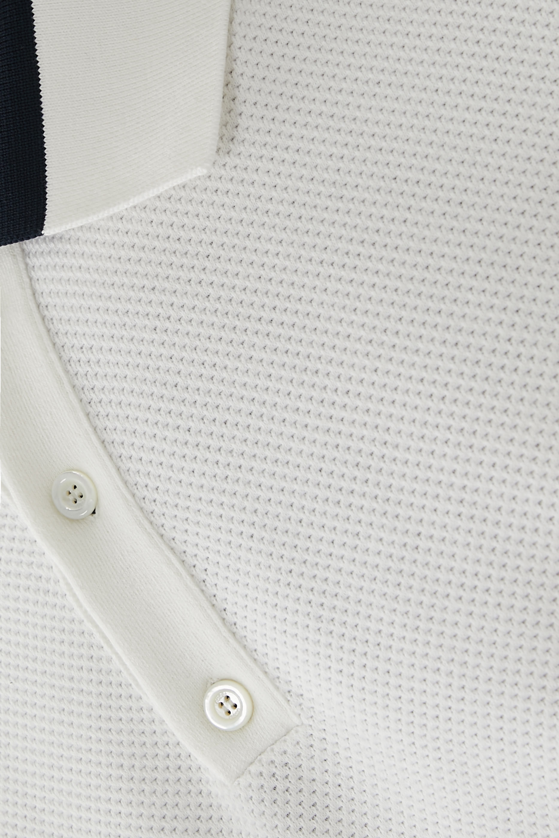 Knit Cotton Polo Shirt with Intarsia