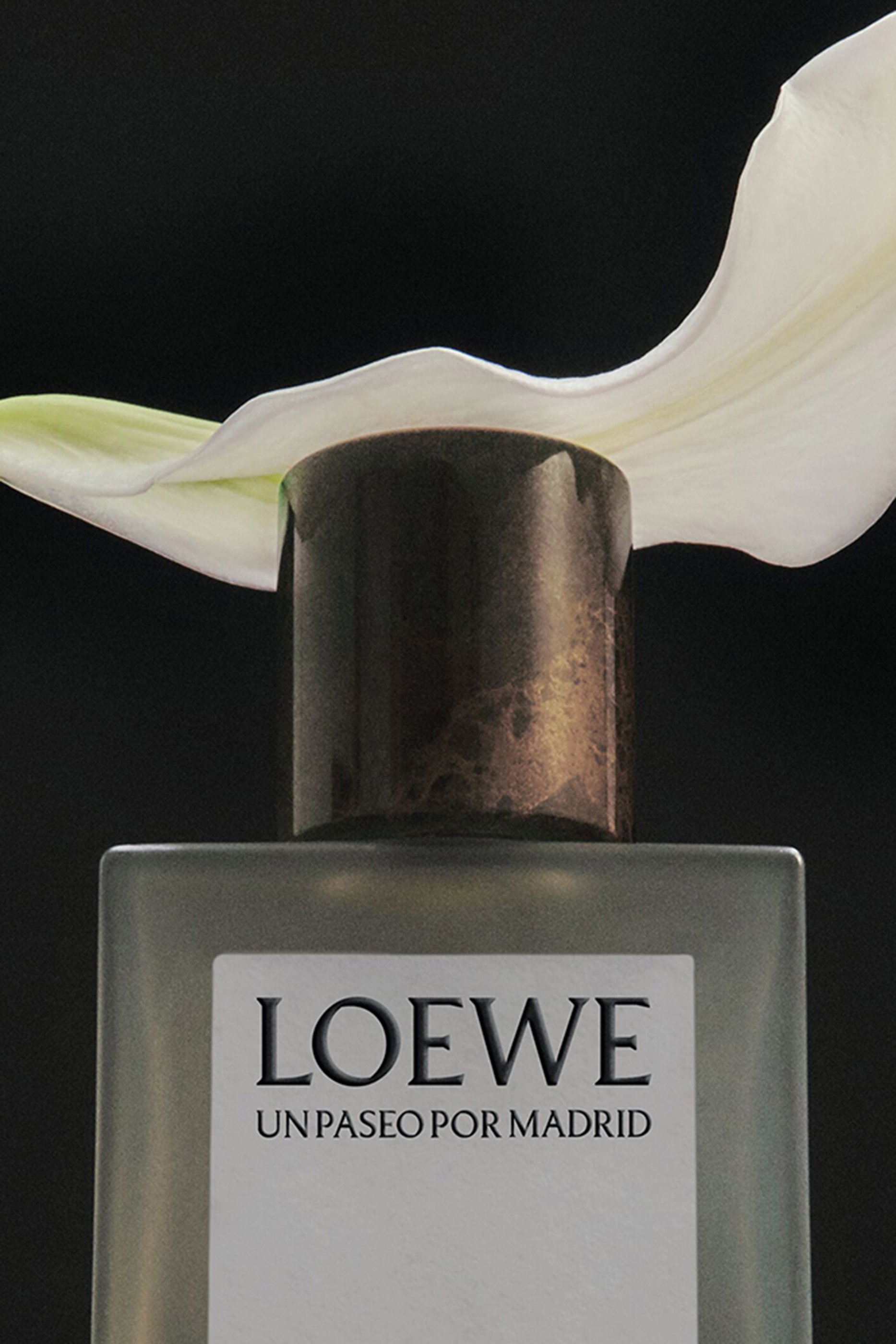 Un Paseo Por Madrid &Oacute;pera Eau de Parfum