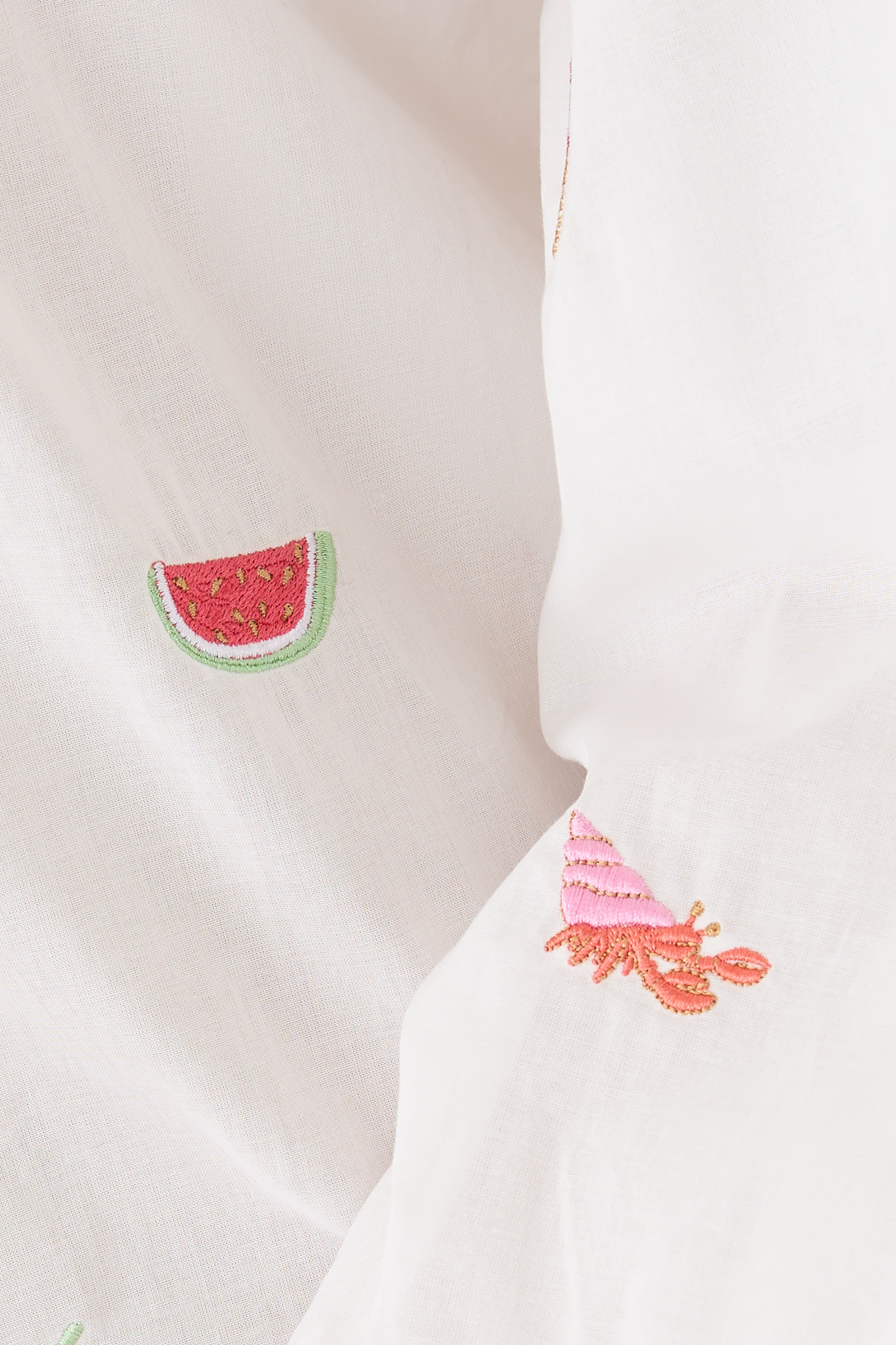 Aleia Oversized Embroidered Long-Sleeved Shirt