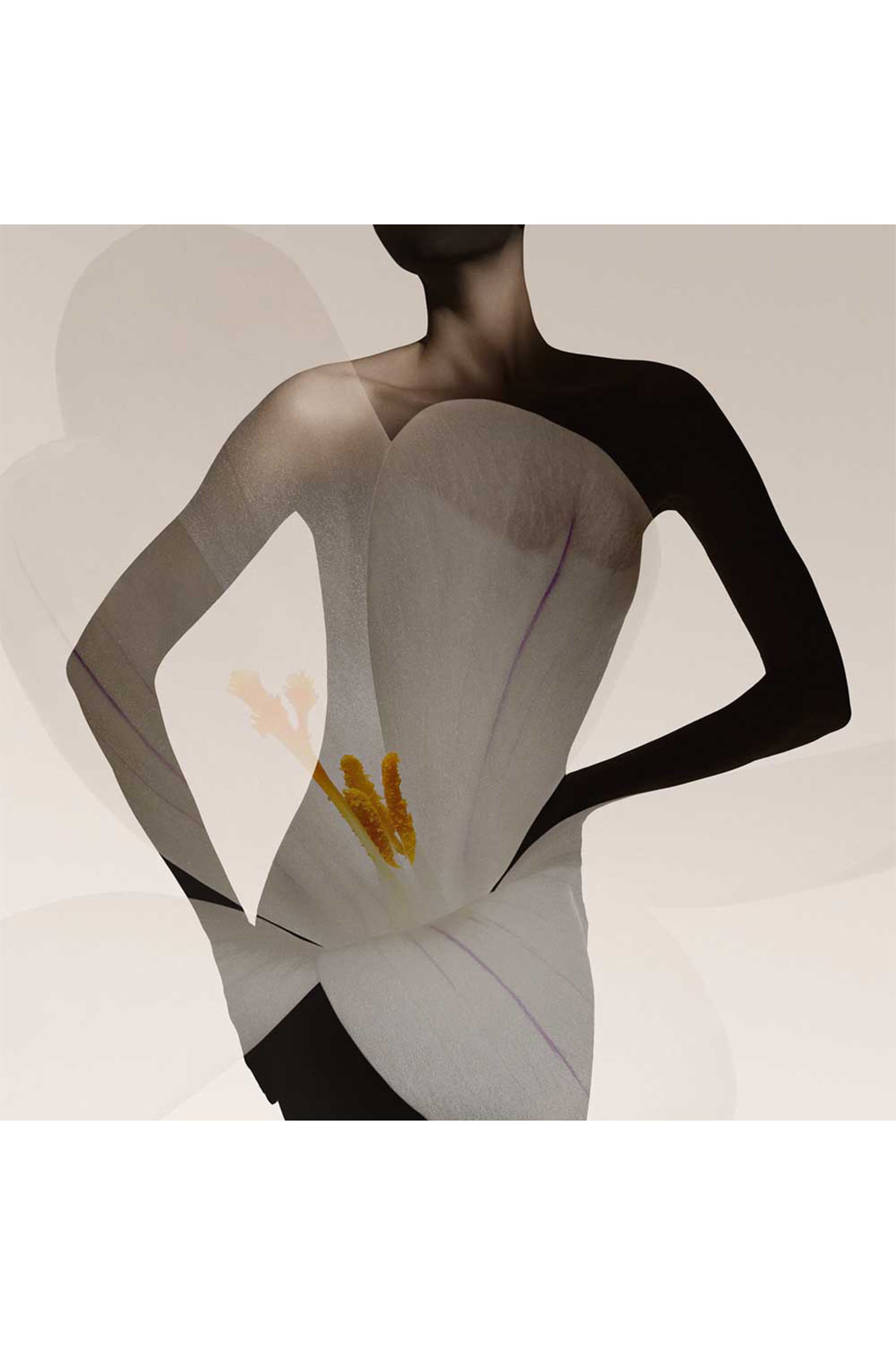 Priv&eacute; Oud Nacr&eacute; Eau de Parfum 