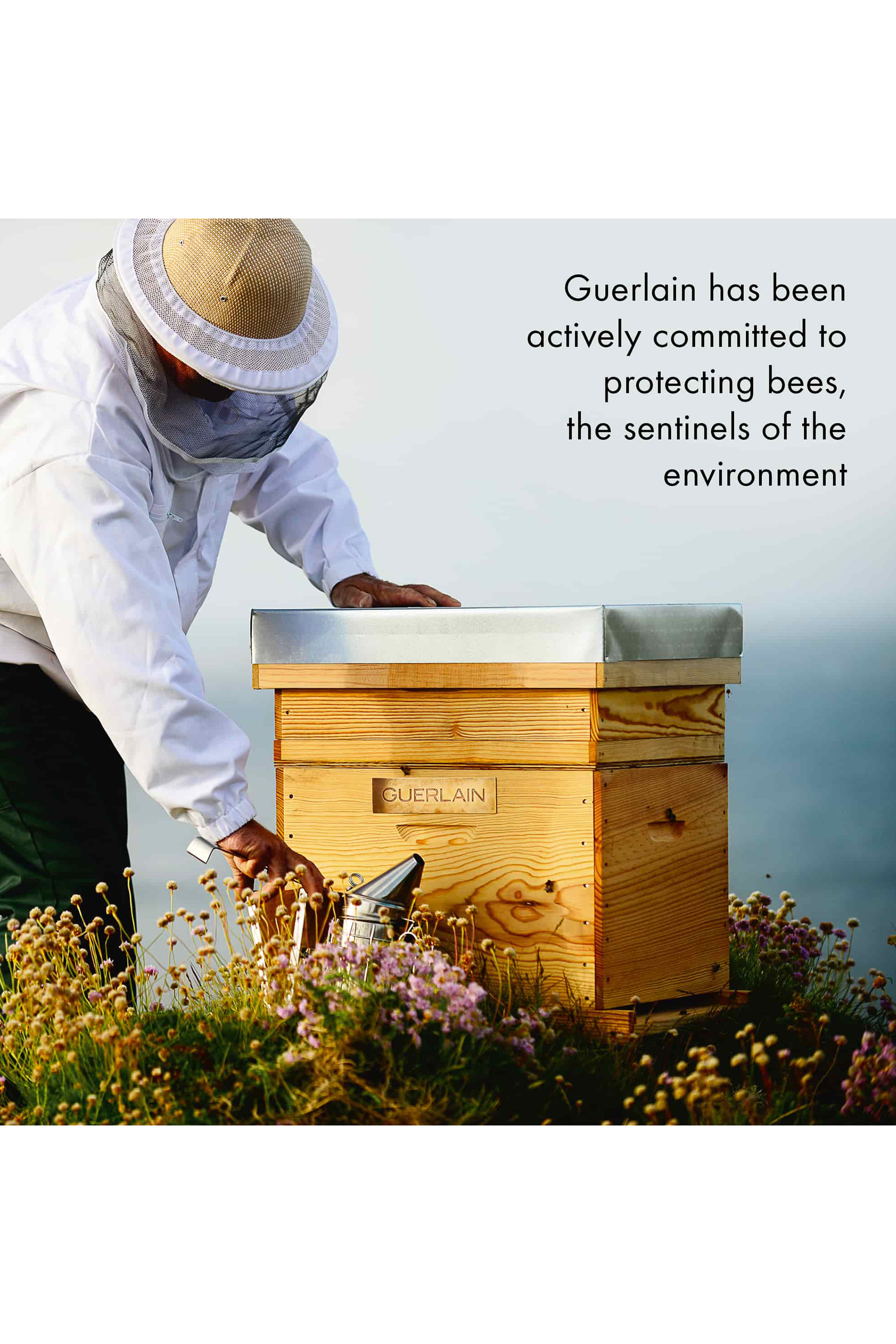 Abeille Royale Honey Treatment Day Cream