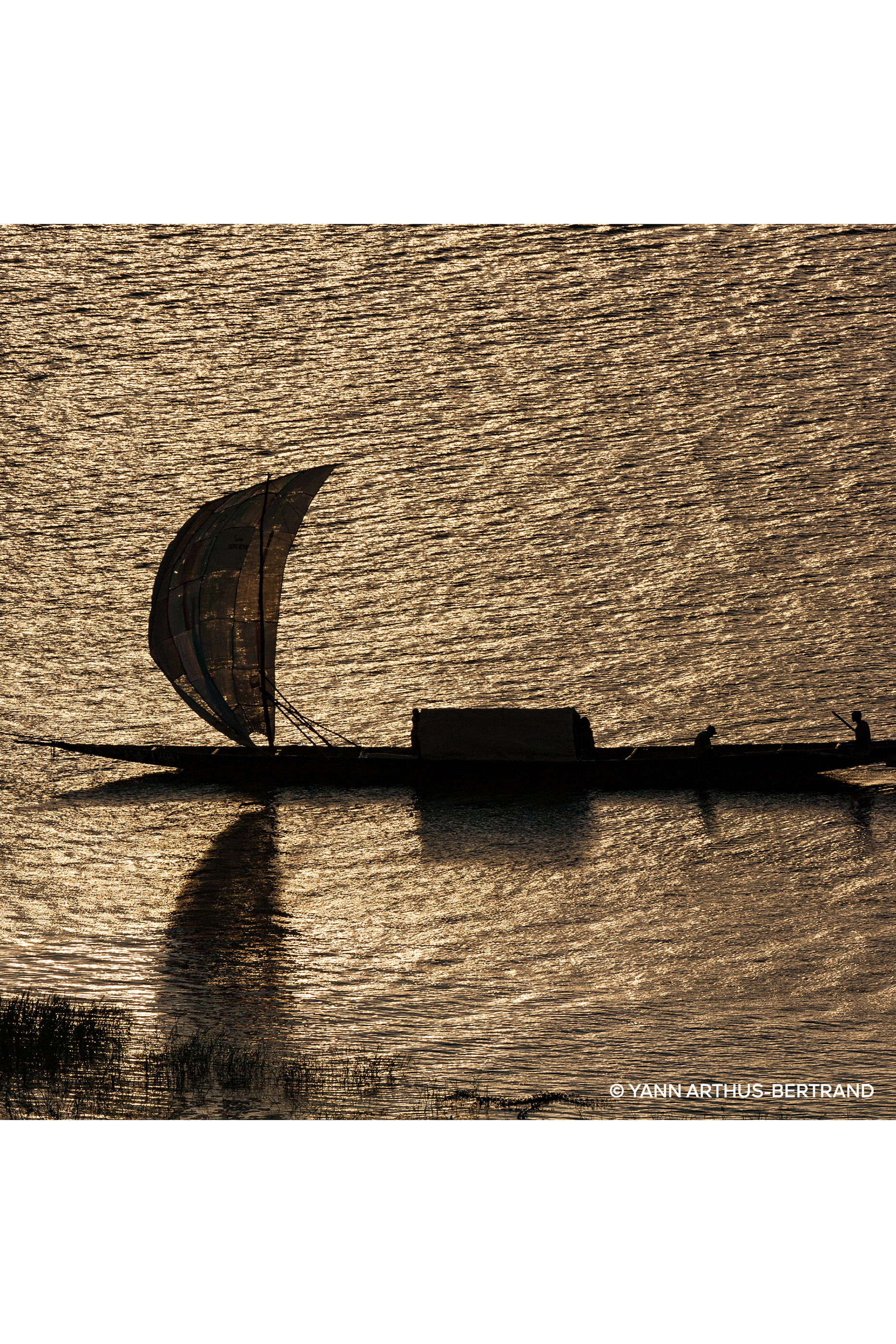 Patchouli Ardent Eau de Parfum